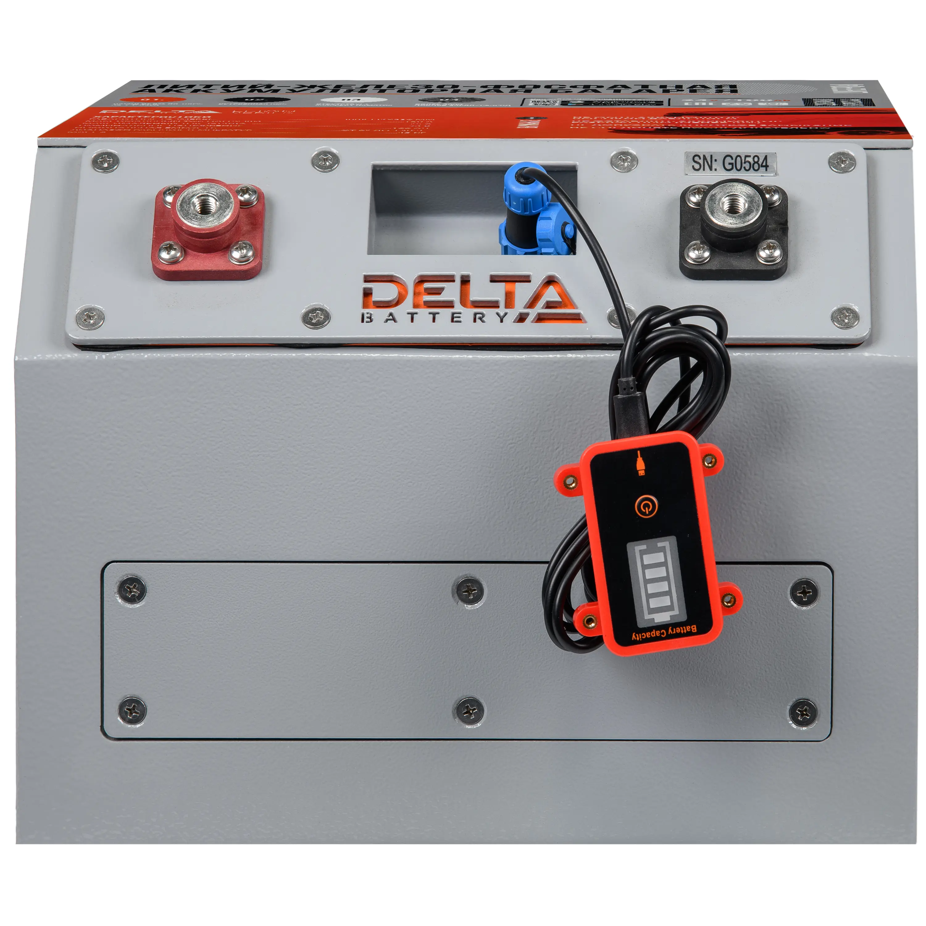 DELTA LFP 24-100